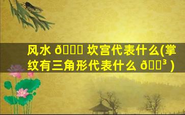 风水 🐟 坎宫代表什么(掌纹有三角形代表什么 🌳 )